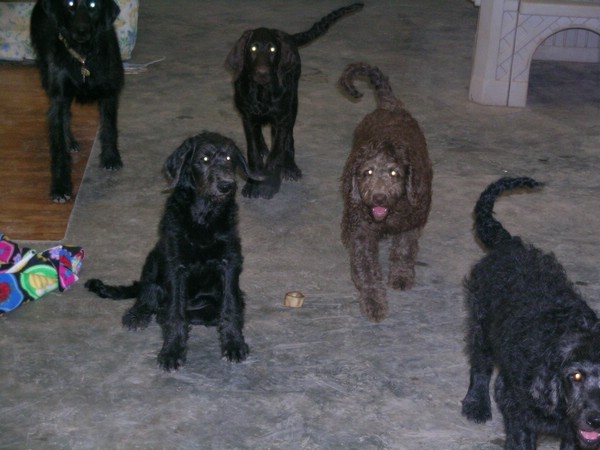DSCN1028.JPG