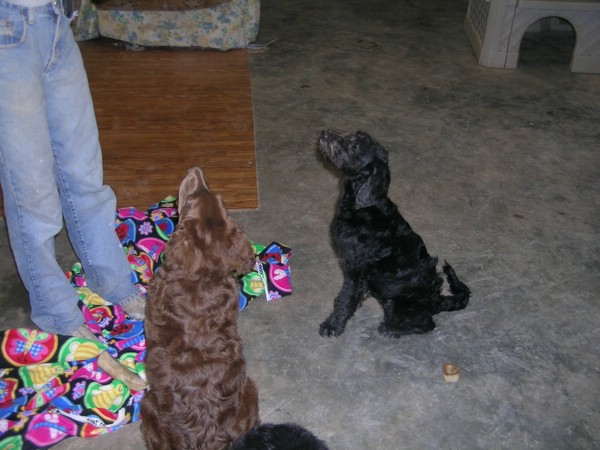 DSCN1030.JPG