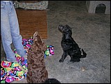 DSCN1030.JPG