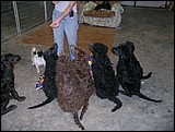 DSCN1033.JPG