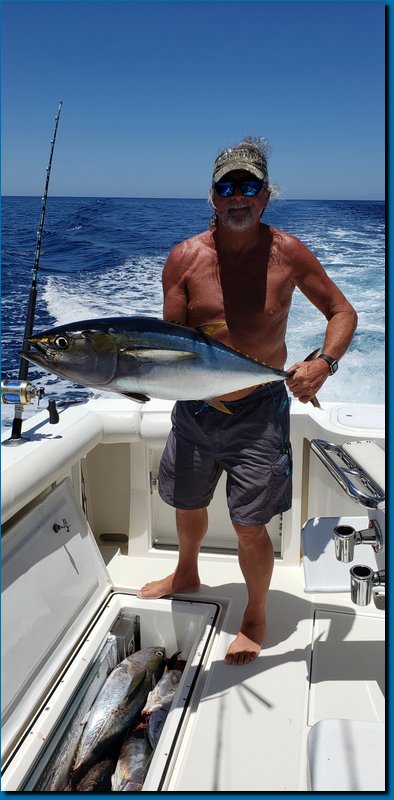 tuna1.jpg