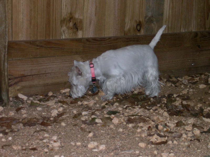 DSCN0016.JPG