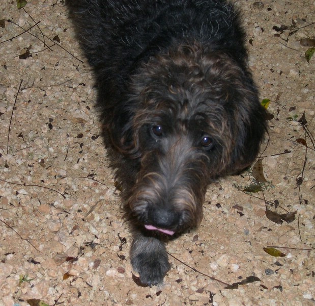 DSCN0018.JPG