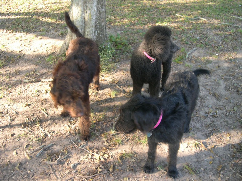 DSCN0028.JPG