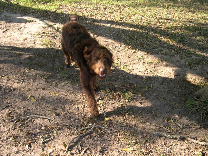 DSCN0029.JPG