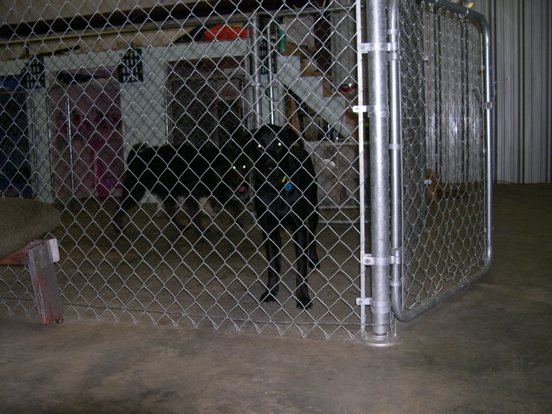 dscn0019.JPG