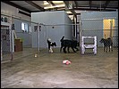 dscn0008.jpg