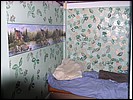 boy camo.jpg