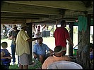 DSCN0431.JPG