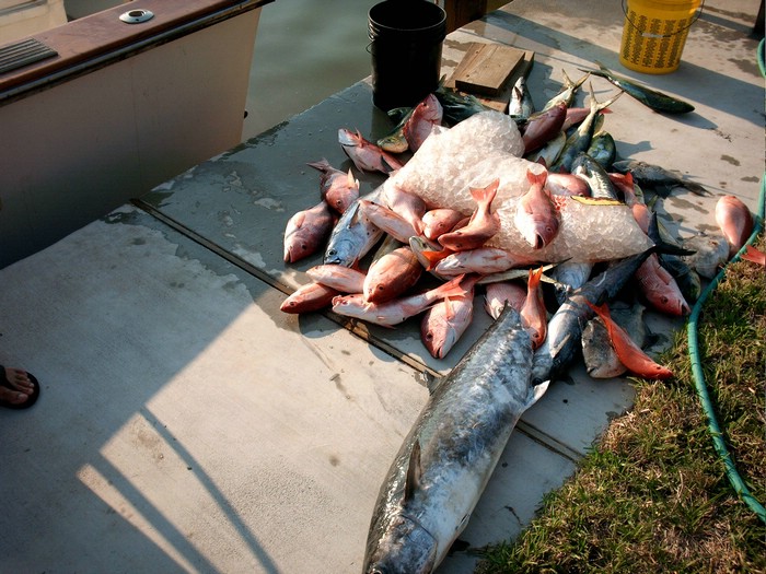 PICT0297.JPG