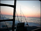 PICT0270.JPG