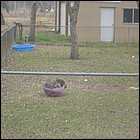 DSCN0003.JPG