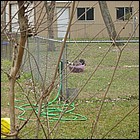 DSCN0005.JPG