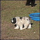 DSCN0030.JPG