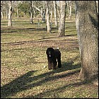 DSCN0039.JPG