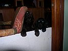 DSCN0003.JPG