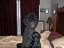 DSCN0012.jpg