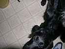 DSCN0023.JPG