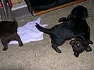 DSCN0026.JPG