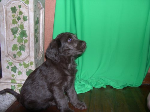 DSCN0039.JPG