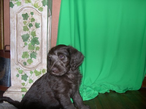 DSCN0041.JPG