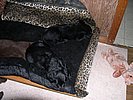 DSCN0005.JPG
