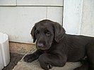 DSCN0018.JPG