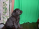 DSCN0039.JPG