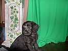 DSCN0041.JPG