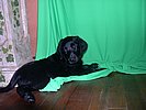 DSCN0045.JPG