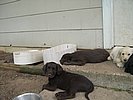 dscn0013.jpg