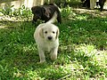DSCN0196.JPG