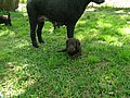 DSCN0201.JPG