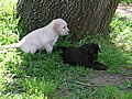 DSCN0205.JPG